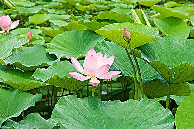 《暗黑破坏神4》第七赛季“巫术”预告 1月22日上线